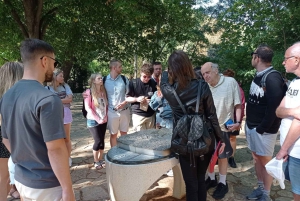 Från Split: Guidad tur till Krka-vattenfallen & rabatt på biljetter