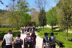 Från Split: Guidad tur till Krka-vattenfallen & rabatt på biljetter