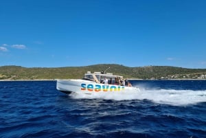 From Split: Luxury Cabin Boat Tour to The Blue Cave and Hvar