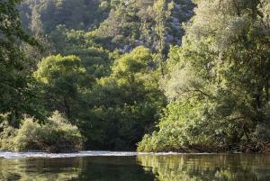 Da Spalato o Omiš: rafting, cliff jumping ed esplorazione di grotte