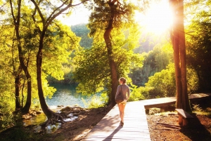 From Split or Trogir: Krka National Park Economy Tour