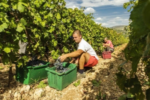 From Split or Trogir: Krka National Park & Wine Tasting Tour