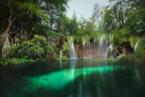 From Split or Trogir: Plitvice Lakes National Park Tour