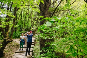 From Split or Trogir: Plitvice Lakes Tour with Entry Tickets