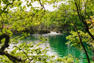 From Split or Trogir: Plitvice Lakes Tour with Entry Tickets