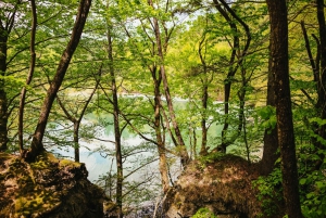 From Split or Trogir: Plitvice Lakes Tour with Entry Tickets