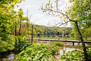 From Split or Trogir: Plitvice Lakes Tour with Entry Tickets
