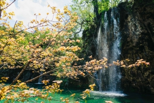 From Split or Trogir: Plitvice Lakes Tour with Entry Tickets