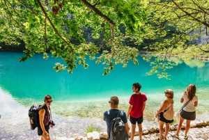 From Split or Trogir: Plitvice Lakes Tour with Entry Tickets
