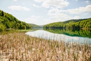 Depuis Split ou Trogir : parc national des lacs de Plitvice