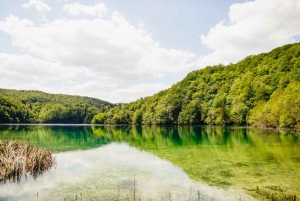 Fra Split eller Trogir: Plitvice Lakes Tour med adgangsbilletter