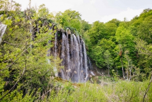 Fra Split eller Trogir: Plitvice Lakes Tour med adgangsbilletter