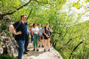 Splitistä tai Trogirista: Plitvice Lakes -kierros sisäänpääsylipuilla