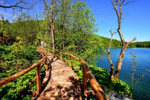 From Split or Trogir: Plitvice Lakes Trip with Entry Ticket