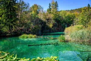 Depuis Split : Transfert à Zagreb et visite des lacs de Plitvice