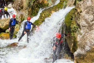 Fra Split eller Zadvarje: Ekstrem canyoning på Cetina-floden