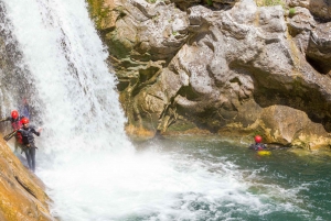 Fra Split eller Zadvarje: Ekstrem canyoning på Cetina-floden