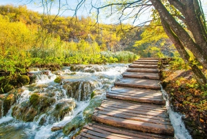From Split or Trogir: Plitvice Day Tour with Entry Included