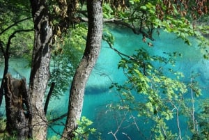 Splitistä: Plitvice-järvien kokopäiväretki