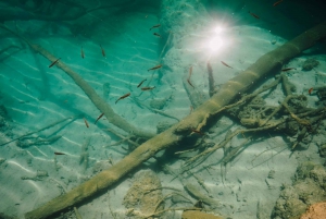 From Split: Plitvice Lakes Guided Day Tour with Tickets