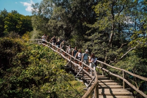 From Split: Plitvice Lakes Guided Day Tour with Tickets