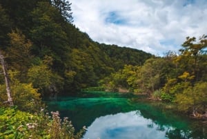Da Spalato: Tour guidato di un giorno ai Laghi di Plitvice con biglietti