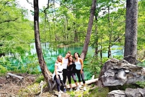 From Split: Plitvice Lakes Guided Tour with Entry Tickets