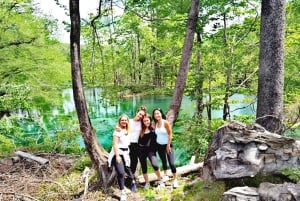 From Split: Plitvice Lakes Guided tour