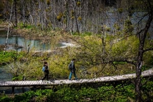 From Split: Plitvice Lakes Guided tour