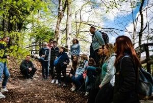 From Split: Plitvice Lakes Guided tour