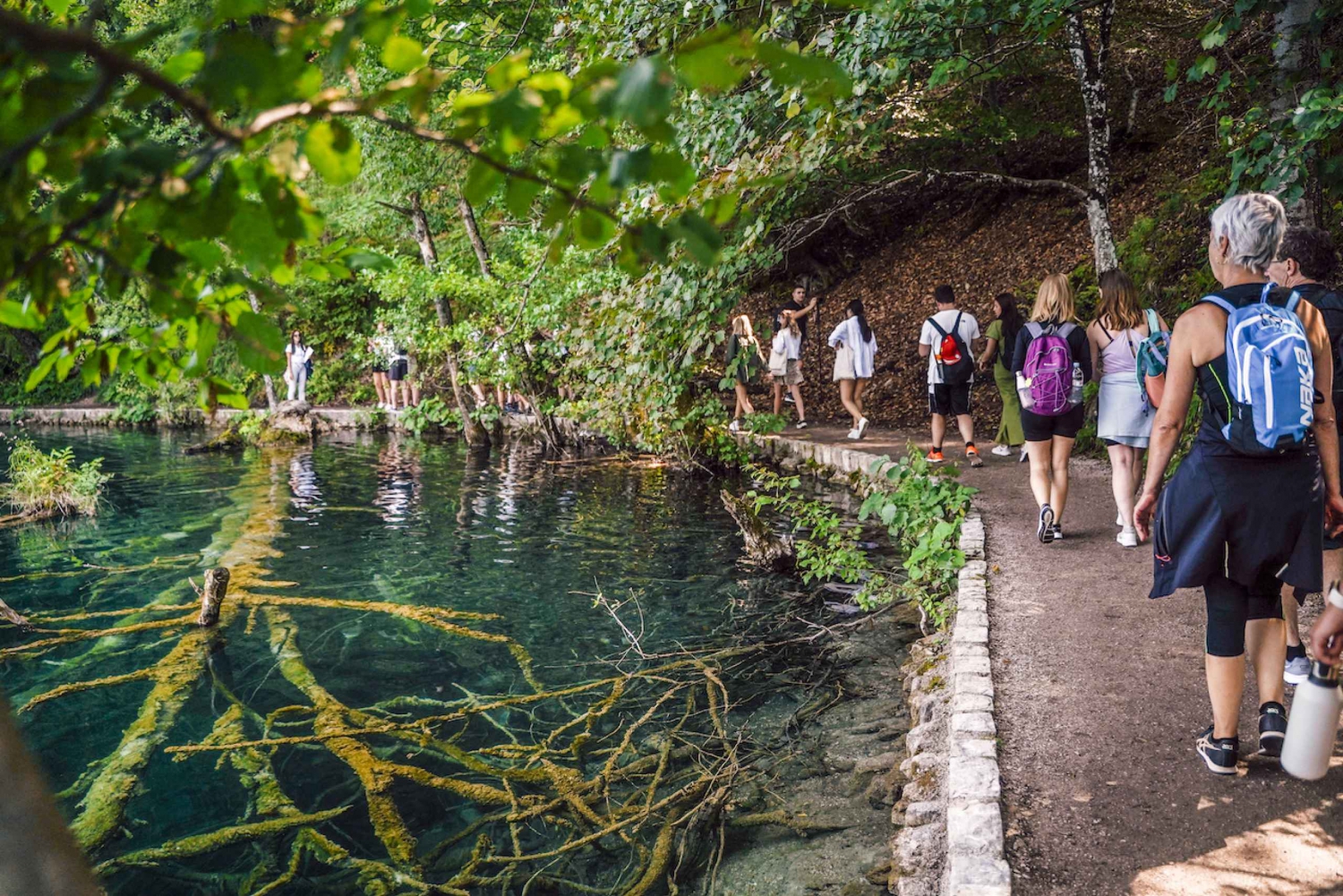 Ze Splitu: Wycieczka z przewodnikiem po Parku Narodowym Jezior Plitwickich
