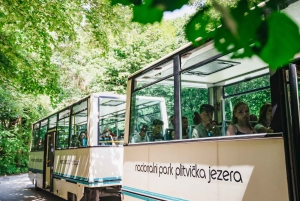 From Split: Plitvice Lakes National Park Full-Day Tour