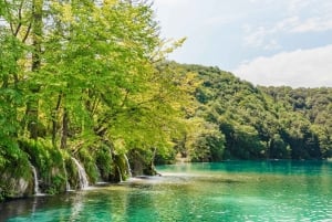 Depuis Split : Visite guidée du parc national des lacs de Plitvice