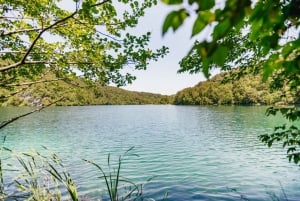 From Split: Plitvice Lakes National Park Guided Tour