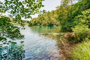 Desde Split: Visita guiada al Parque Nacional de los Lagos de Plitvice