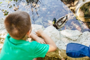 From Split: Plitvice Lakes National Park Guided Tour