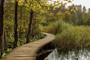 Ze Splitu: Prywatna wycieczka do Parku Narodowego Jezior Plitwickich