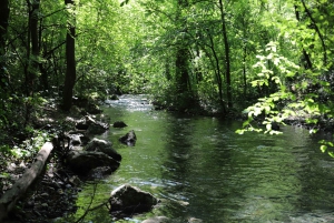 From Split: Three Rivers Quad Tour with Swimming and Lunch