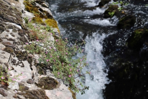 From Split: Three Rivers Quad Tour with Swimming and Lunch