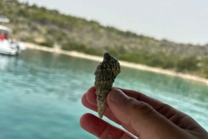 Från Split/Trogir: Blå lagunen & 2 öar halvdag Privat