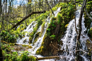 From Split/Trogir: Plitvice Lakes Guided Group Tour