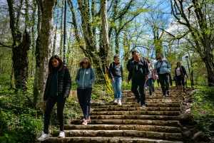 From Split/Trogir: Plitvice Lakes Guided Group Tour