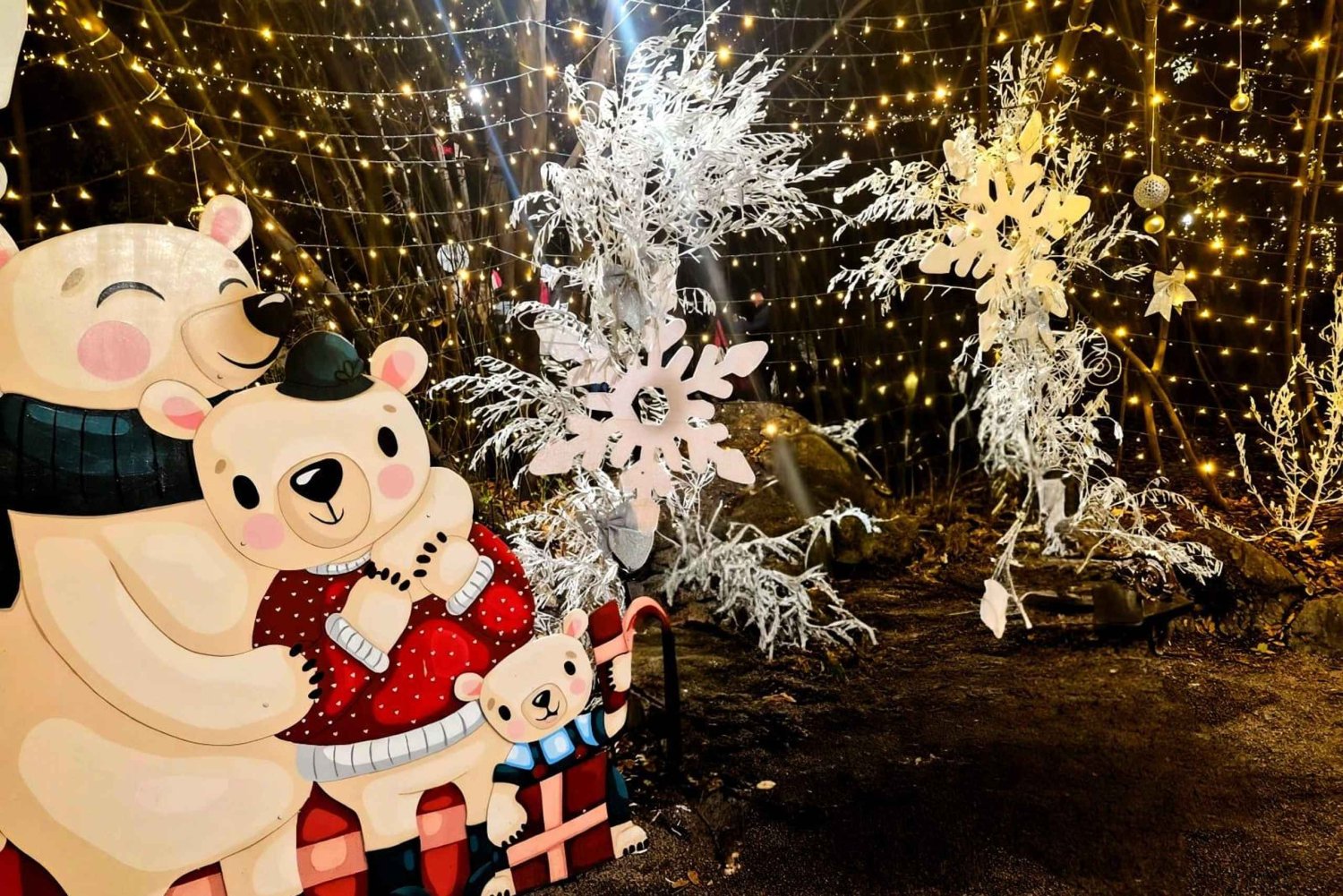 Из Триеста: экскурсия по рождественским ярмаркам Опатии с вином