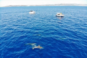 Fra Trogir: 3 øer halvdagstur med Blå Lagune