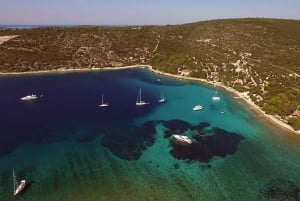 Fra Trogir: Heldagstur til en øy