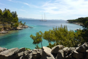 From Trogir or Split: Private Speedboat Tour to Brac Island