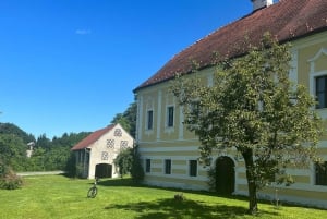 Da Tuheljske Toplice: Tour di un giorno in bicicletta sul fiume Sutla