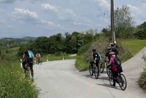 Da Tuheljske Toplice: Tour di un giorno in bicicletta sul fiume Sutla