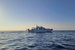 Von Umag aus: Tagesausflug nach Poreč mit Mittagessen und Schwimmen