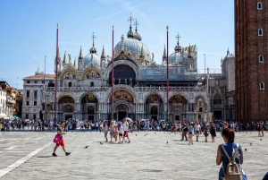 Från Umag: Båttur till Venedig med dag eller enkel resa
